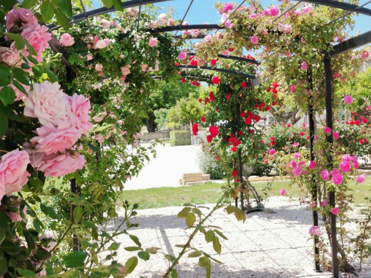 Gite En Provence "Rose" Modene Dış mekan fotoğraf