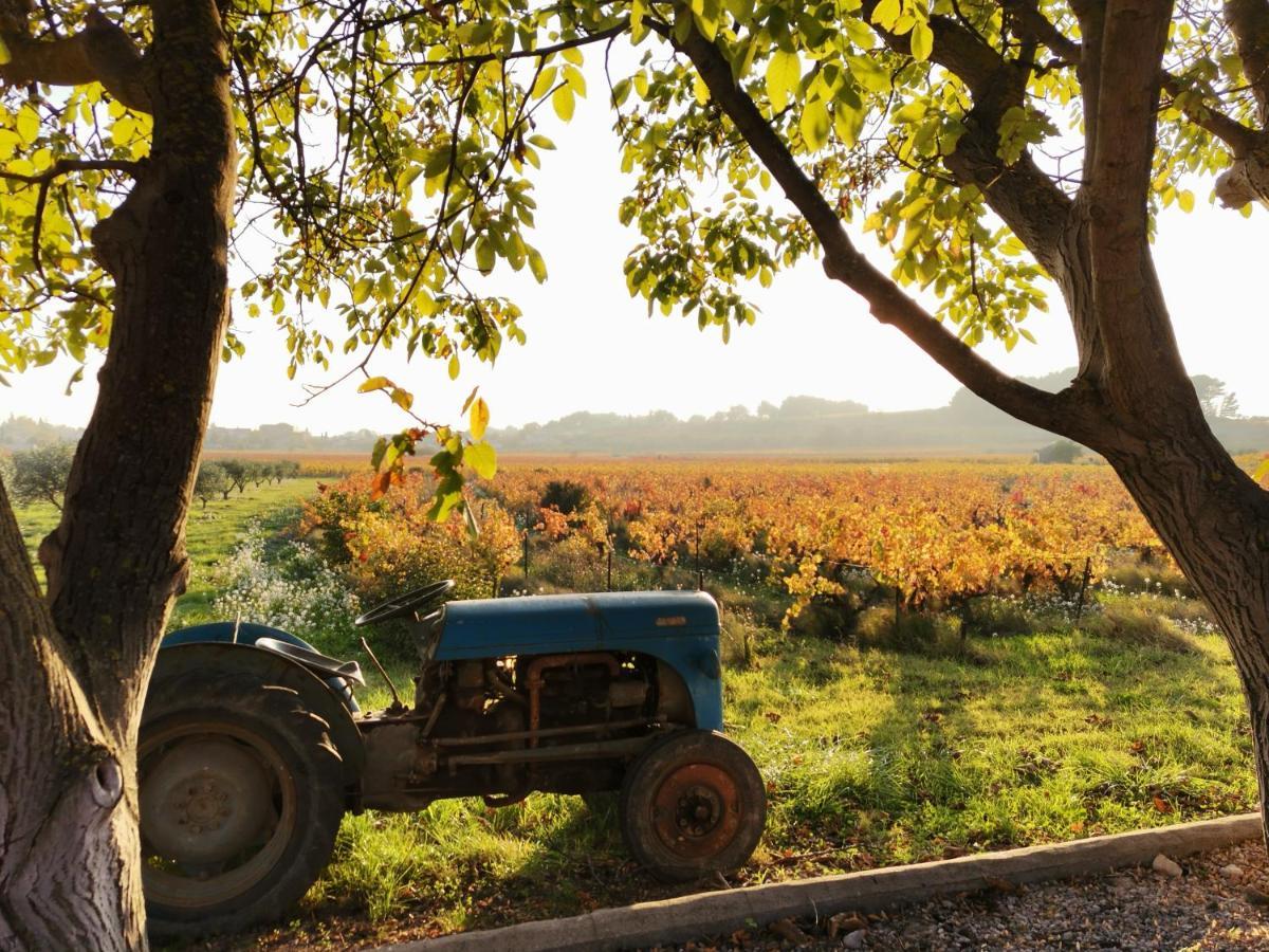 Gite En Provence "Rose" Modene Dış mekan fotoğraf
