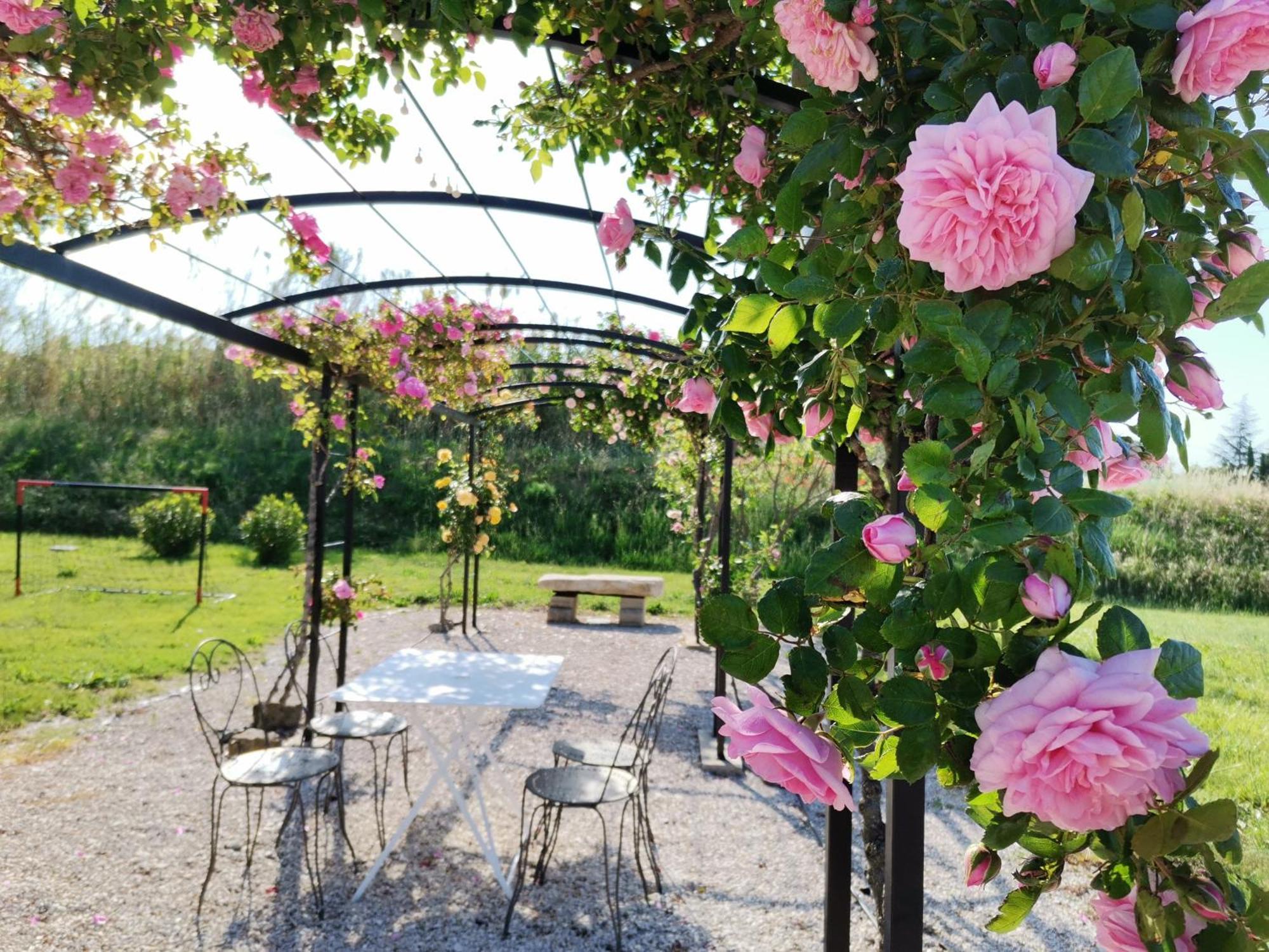 Gite En Provence "Rose" Modene Dış mekan fotoğraf