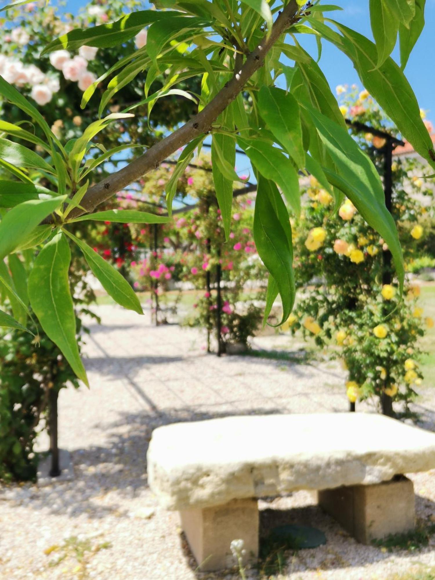 Gite En Provence "Rose" Modene Dış mekan fotoğraf